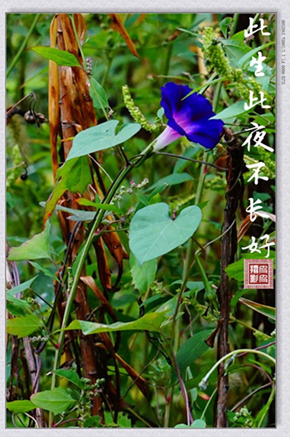 DSC01207_副本_conew1_副本.jpg