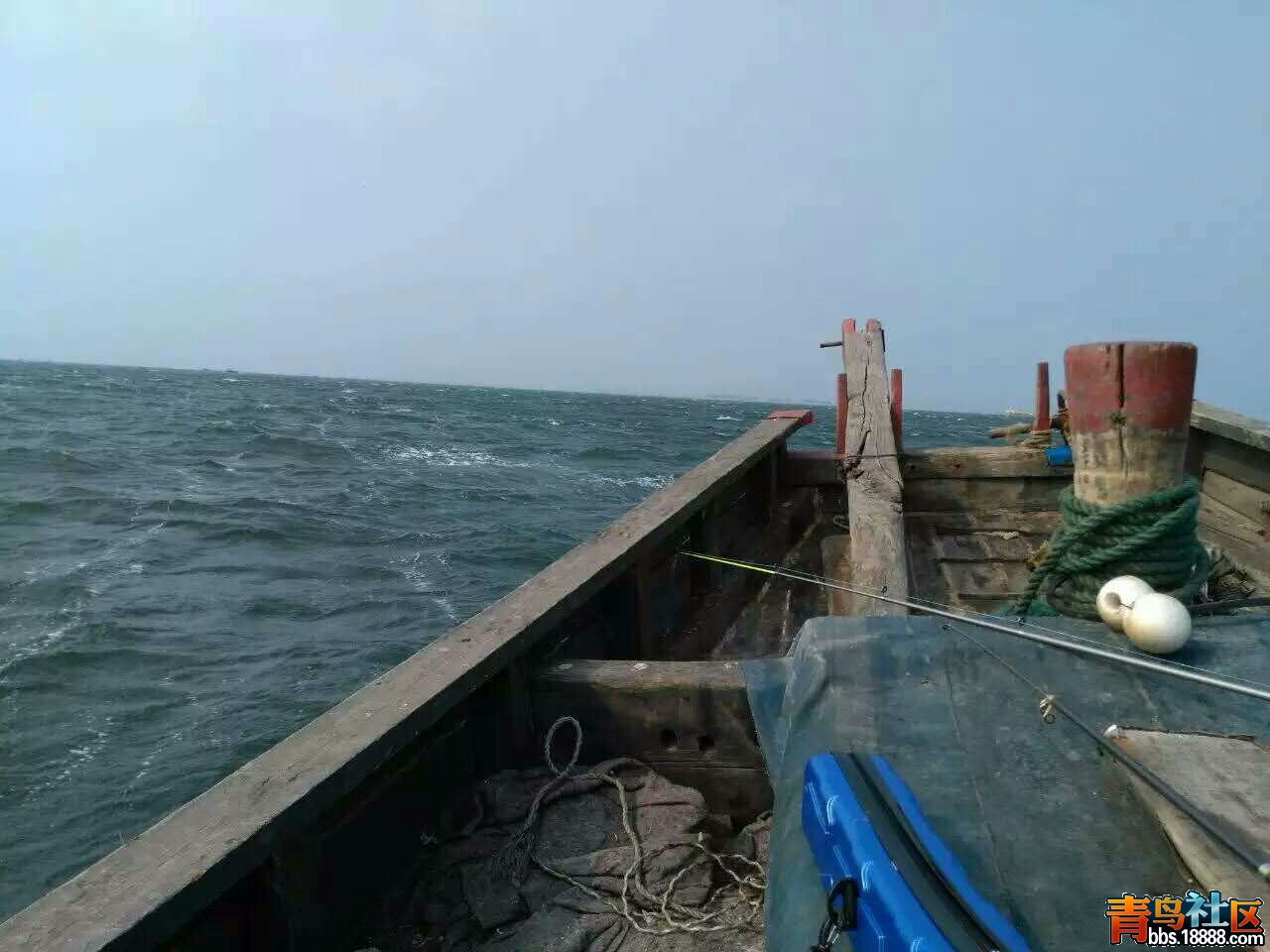 mmexport1473733535378.jpg