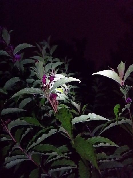 20160921_211334.jpg