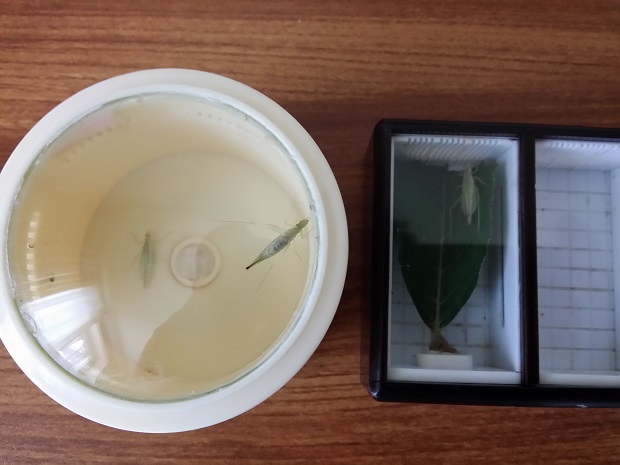 20160901_103432.jpg