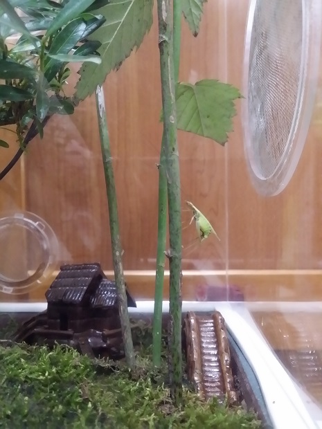 20160913_030249.jpg