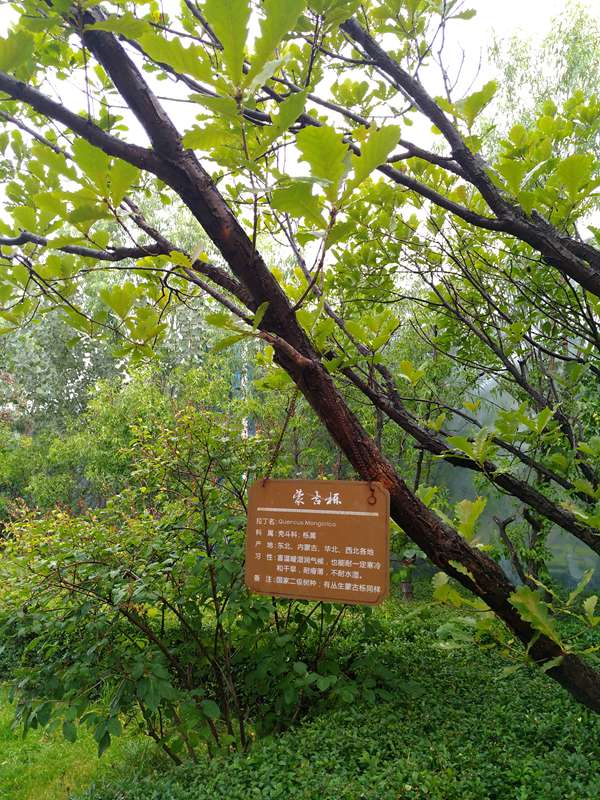 IMG_20160903_070814.jpg