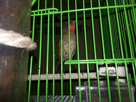 20160916_144152.jpg