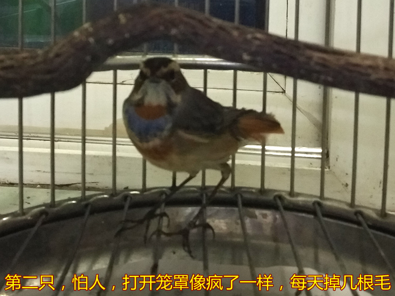 图3.jpg
