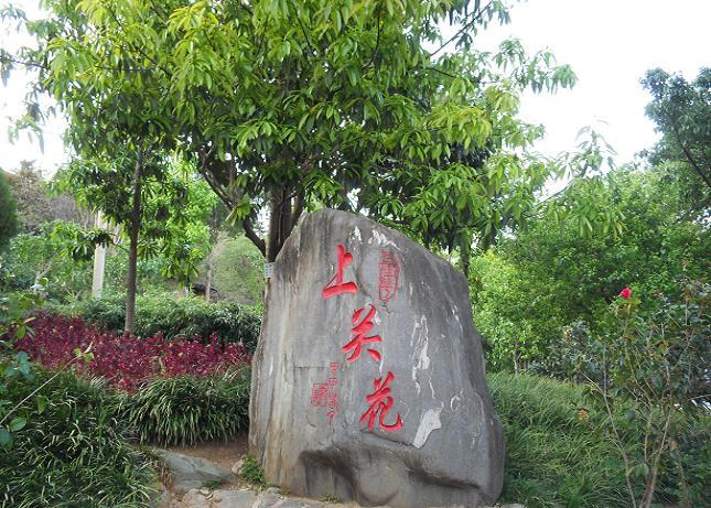 乱9.JPG