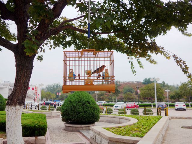 L1040464.JPG