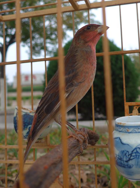 L1040450.JPG