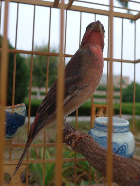 L1040451.JPG