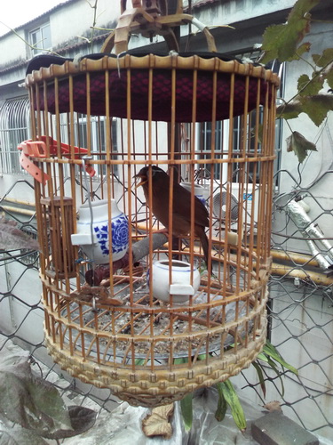 IMG_20161016_075913_调整大小.jpg
