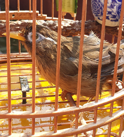 20161003_113010_副本.jpg