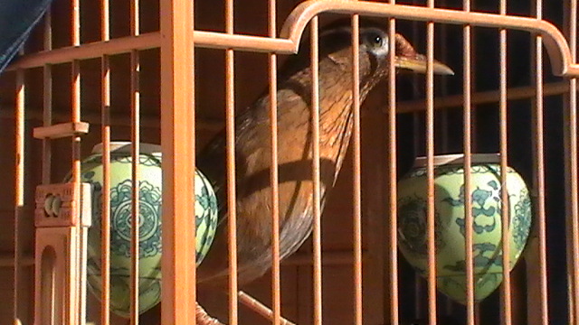 S1230022.JPG