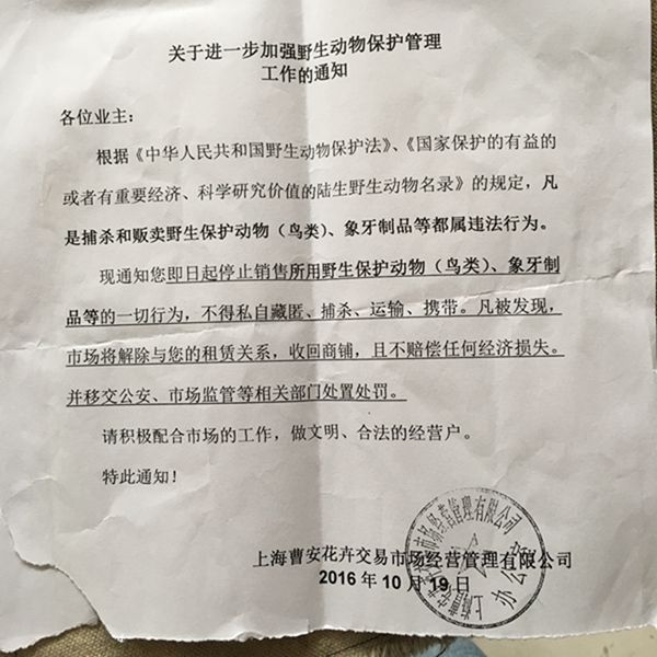 禁止卖鸟_副本 1111.jpg