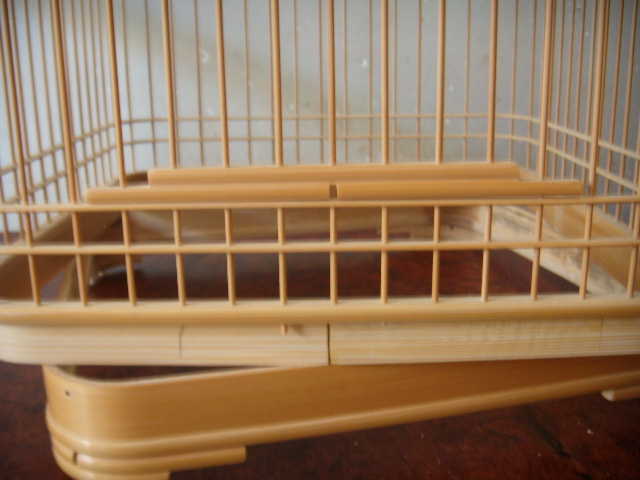 DSCN7957.JPG