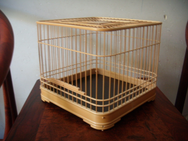DSCN7992.JPG