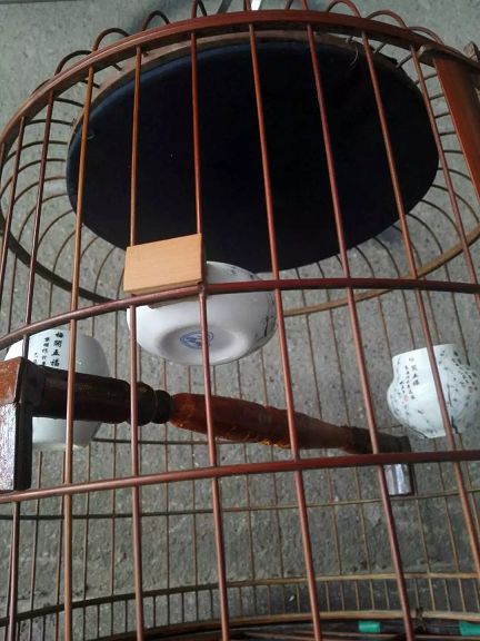 psb (6)_眸目压缩.jpg