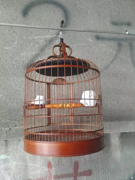 psb (10)_眸目压缩.jpg