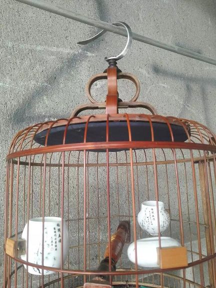psb (3)_眸目压缩.jpg
