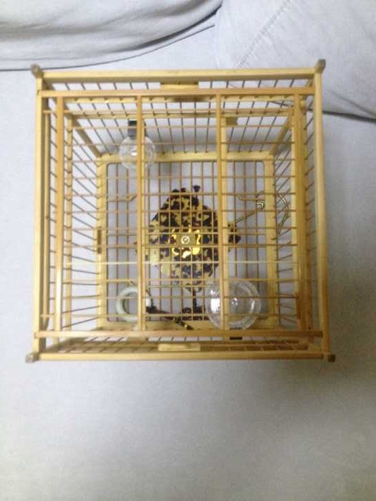 QQ图片20161003194915.jpg