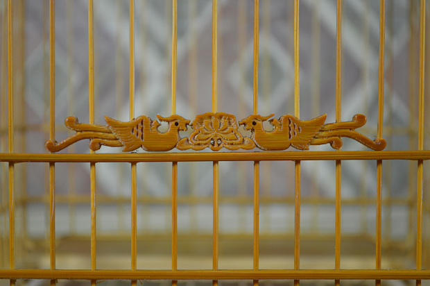 _DSC0917.jpg