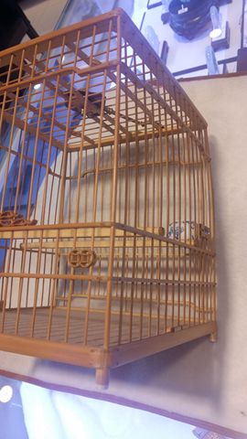 20160914_131052.jpg