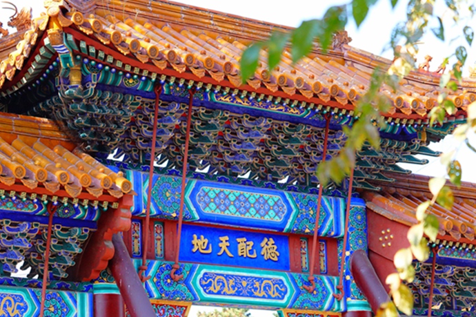 DSC01380.JPG