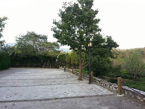 20161008_160309.jpg