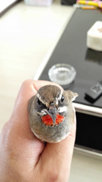 microMsg.1475555159631.jpg