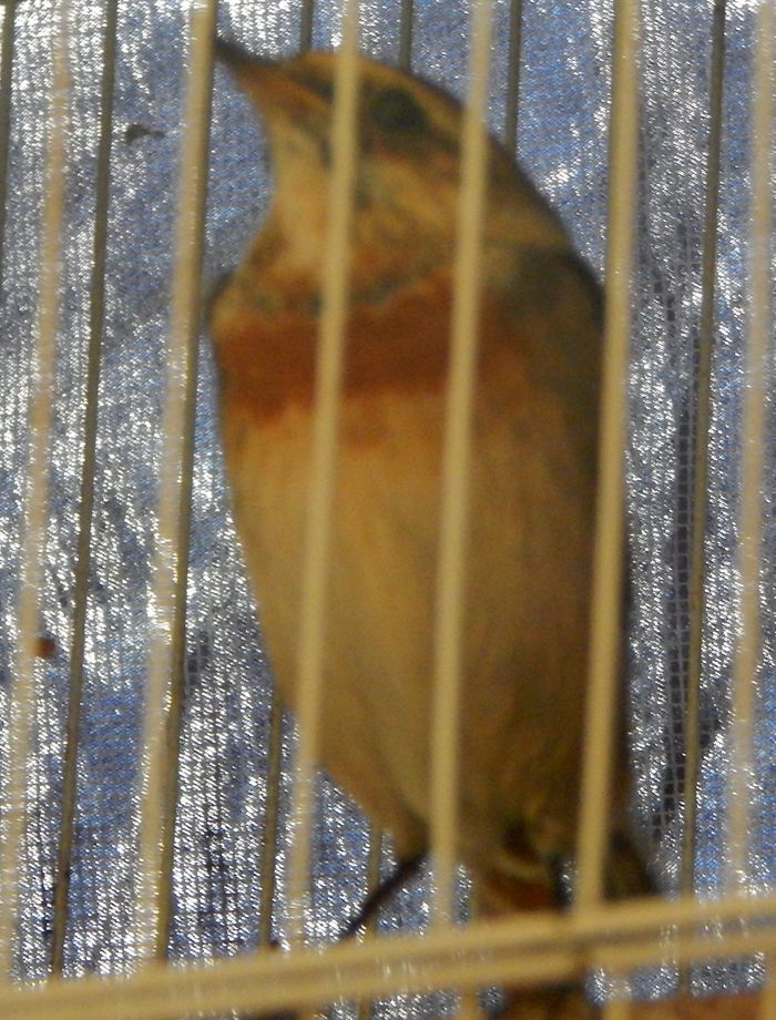 DSCN3648.JPG