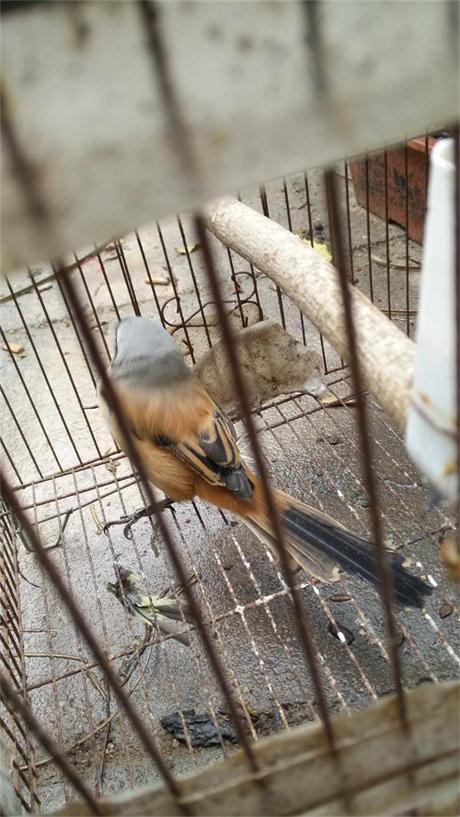 IMG20161118101033.jpg