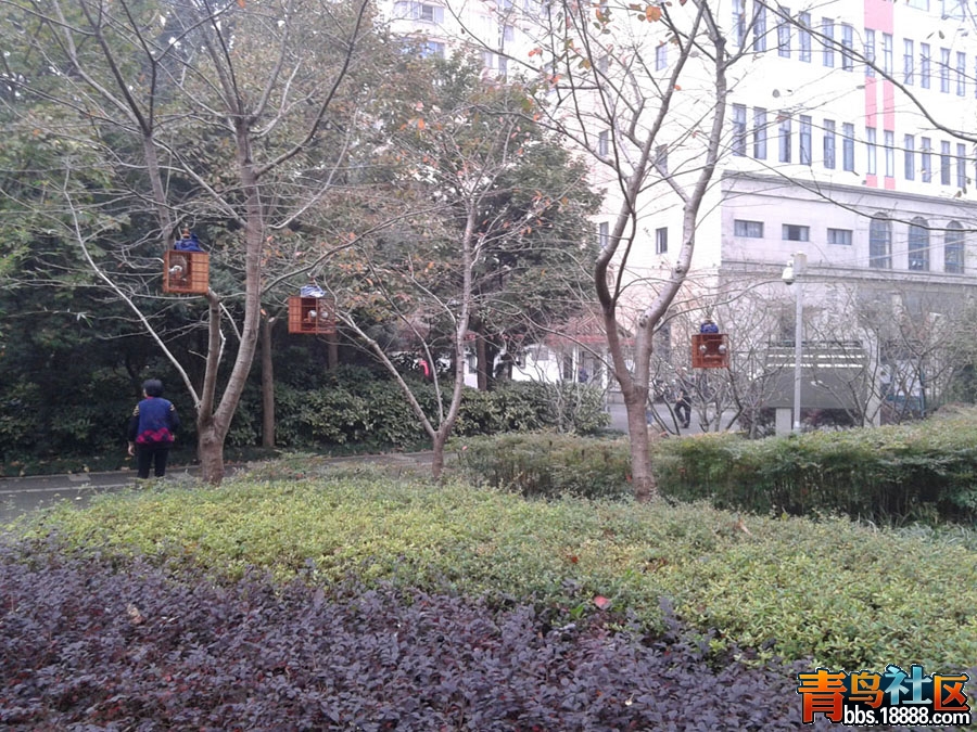 20161119_073405.jpg