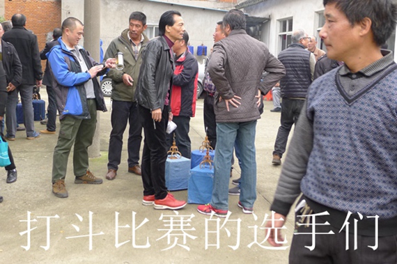 鸟会图片压缩43.jpg