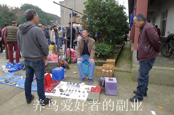 鸟会图片压缩48.jpg