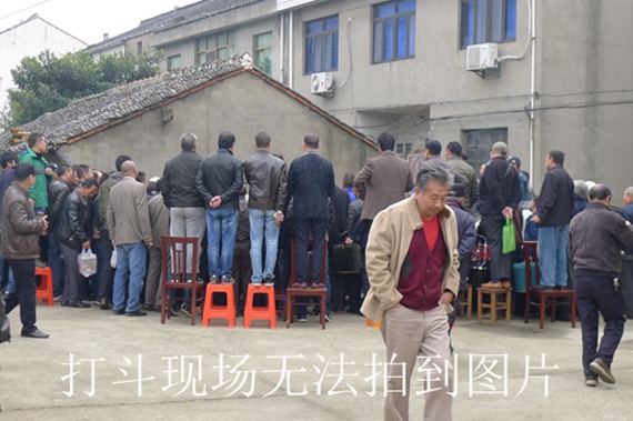 鸟会图片压缩49.jpg