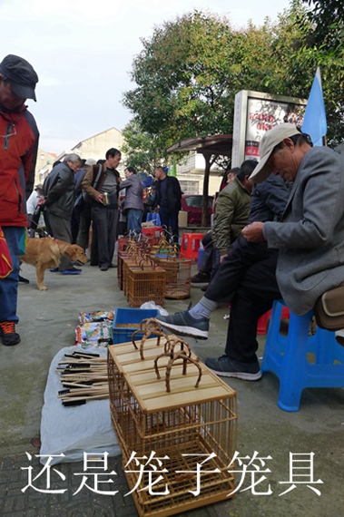 鸟会图片压缩07.jpg
