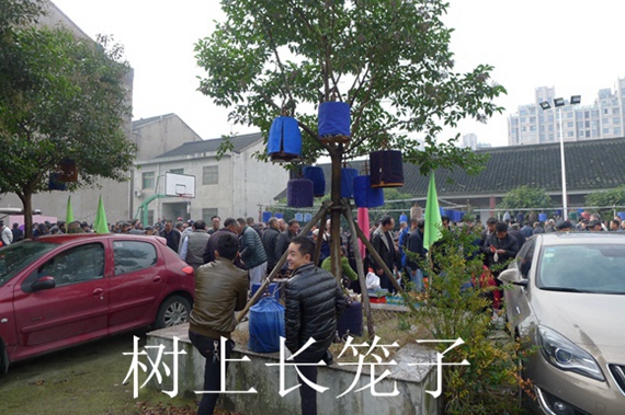 鸟会图片压缩14.jpg