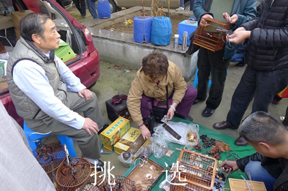 鸟会图片压缩10.jpg