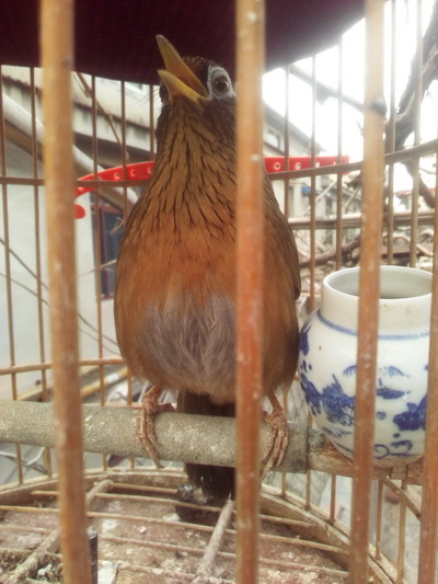 IMG_20161113_092444_调整大小.jpg