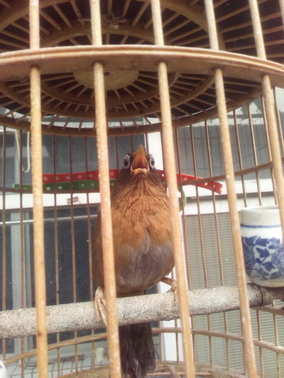 IMG_20161113_092535_调整大小.jpg