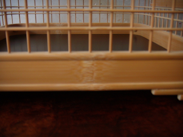 DSCN7972.JPG