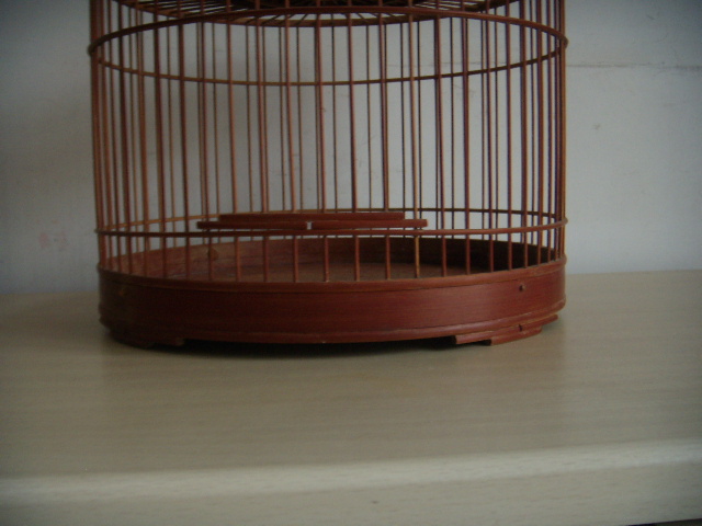 DSCN0335.JPG