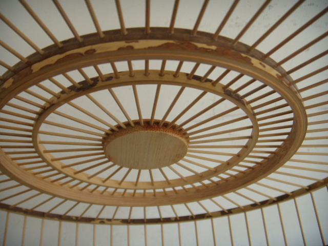 DSCN0215.JPG