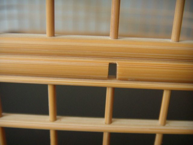 DSCN7993.JPG
