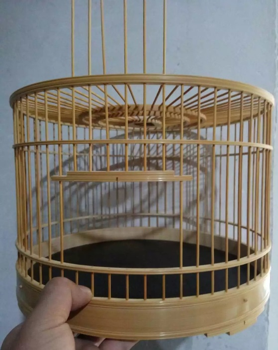 QQ图片20161130222430.png444.jpg顶顶顶顶顶顶顶顶顶顶大多多.jpg