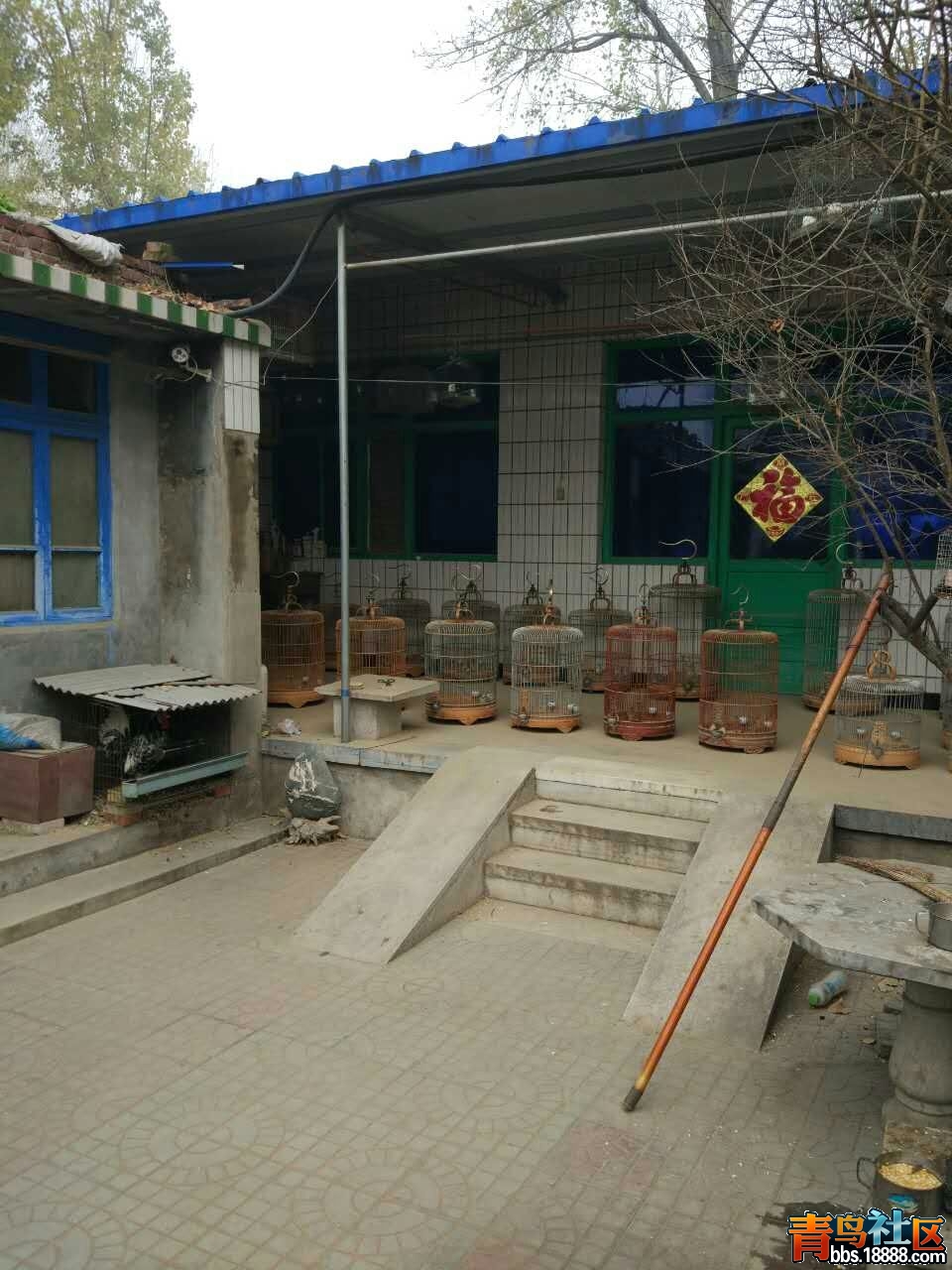 mmexport1479853208559.jpg