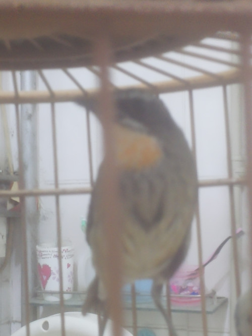IMG_20161108_235735_副本.jpg
