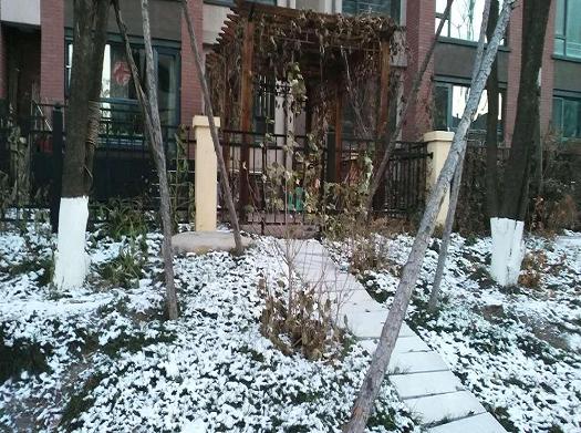 雪2.JPG