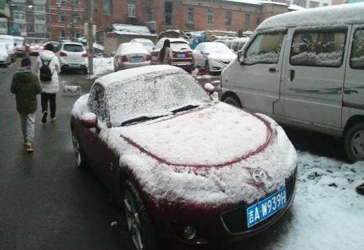 雪9.JPG