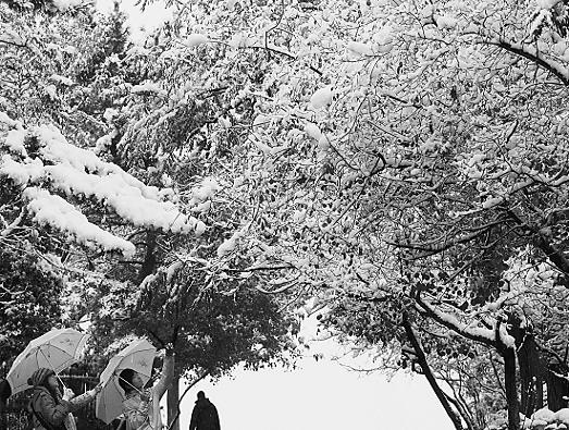 雪17.JPG