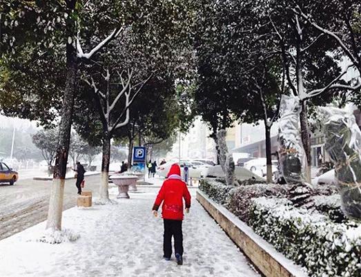 雪20.JPG