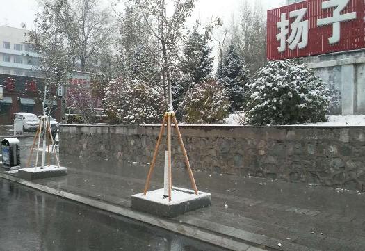 雪4.JPG